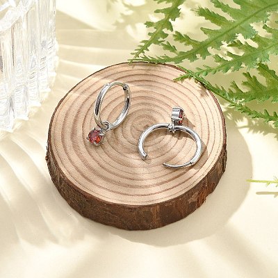 304 Stainless Steel Micro Pave Cubic Zirconia Hoop Earrings STAS-R004-02P-01-1