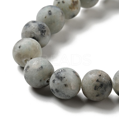 Natural Sesame Jasper/Kiwi Jasper Beads Strands G-I258-02-1