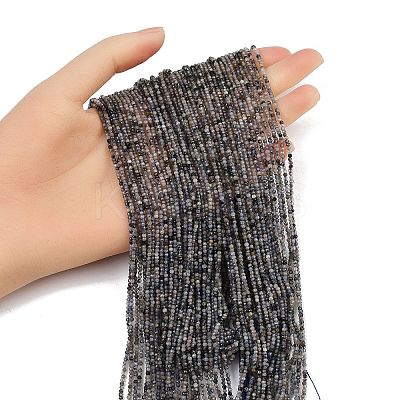 Natural Iolite Beads Strands LS-G-RM2025-A47-A-1