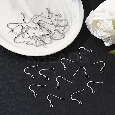 SHEGRACE Brass Earring Hooks XGR0139P-152P-1