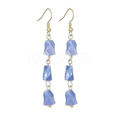 Glass Beaded Tassel Dangle Earrings with 304 Stainless Steel Pins EJEW-JE05334-1