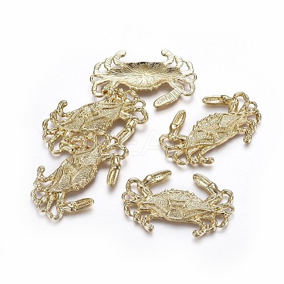 Alloy Pendants TIBEP-A040-016G-NR-1