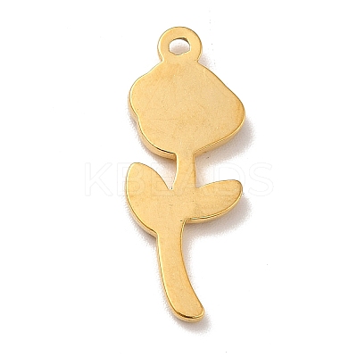 Ion Plating(IP) 304 Stainless Steel Pendants X-STAS-P312-05G-1