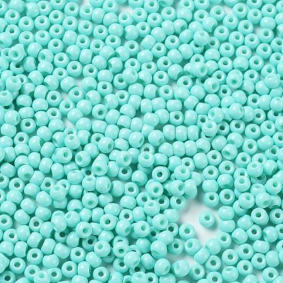 Baking Paint Glass Seed Beads SEED-H002-I-A525-1