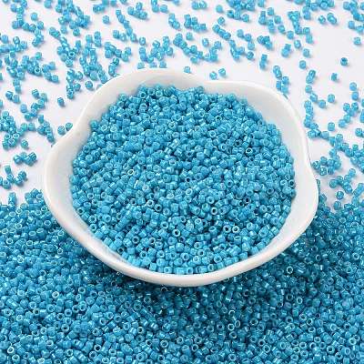 Cylinder Seed Beads SEED-H001-H10-1
