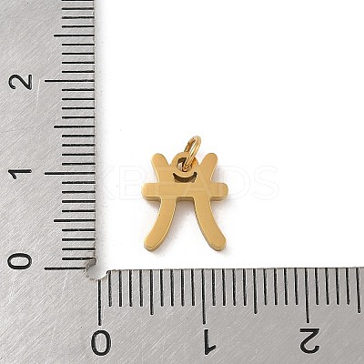 304 Stainless Steel Charms LS-STAS-R001-04G-12-1