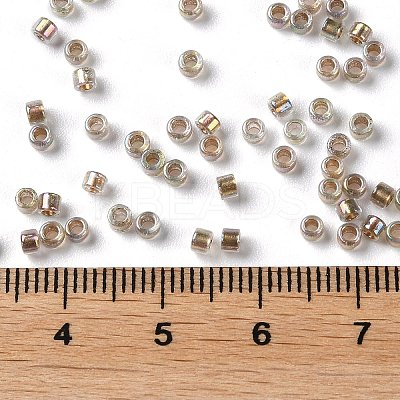 Glass Seed Beads X-SEED-S042-13A-16-1