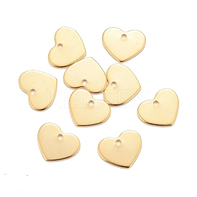 201 Stainless Steel Charms LS-X-STAS-K217-76G-1