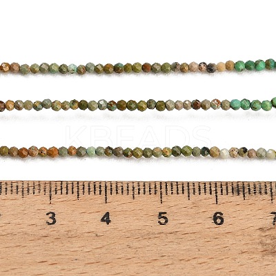 Natural HuBei Turquoise Beads Strands GG-CBA4399-A01-01-1