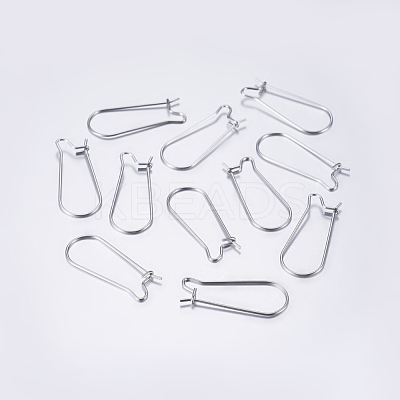 Tarnish Resistant 304 Stainless Steel Hoop Earrings STAS-L198-15A-P-1