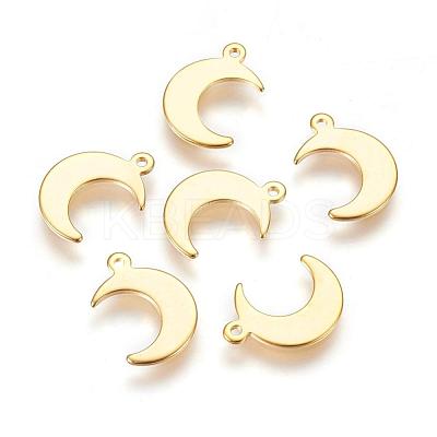 304 Stainless Steel Charms X-STAS-H557-31G-1