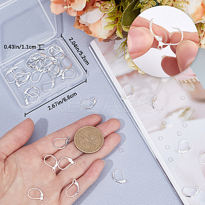 40Pcs 2 Styles Brass Leverback Earring Findings DIY-CN0002-85S-1