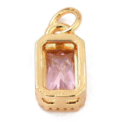 Real 18K Gold Plated Brass Inlaid Cubic Zirconia Charms ZIRC-L100-075G-08-1