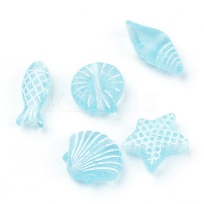 Craft Style Transparent Acrylic Charms TACR-S131-06-1