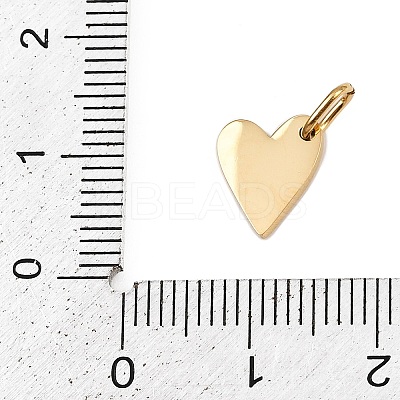 304 Stainless Steel Charms STAS-L291-01G-X-1
