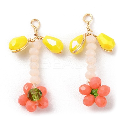 Glass Beaded Pendants GLAA-K060-02G-04-1