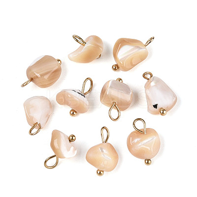 Natural Trochus Shell Nuggets Charms STAS-D378-36G-1