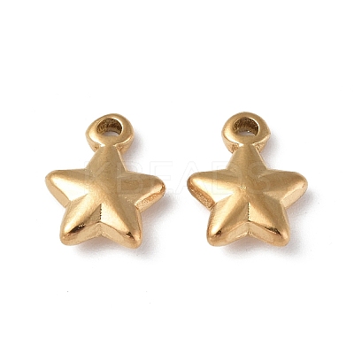 Ion Plating(IP) 304 Stainless Steel Charms STAS-C066-19G-1