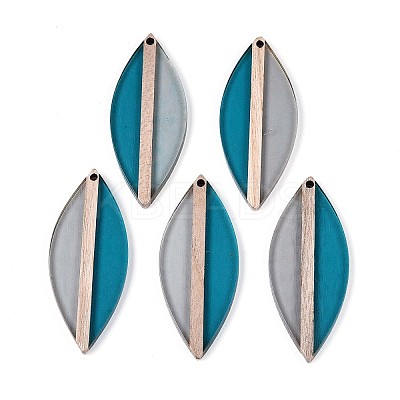 Transparent Resin & Wood Pendants RESI-T057-63A-1