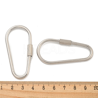 Non-Tarnish 304 Stainless Steel Screw Carabiner Lock Charms STAS-C092-09A-P-1