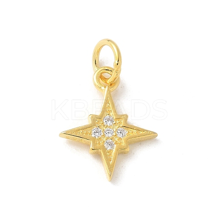 S925 Sterling Silver Micro Pave Cubic Zirconia Pendant LS-STER-H115-02B-G-1