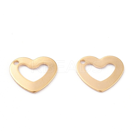 201 Stainless Steel Charms STAS-B001-06G-1