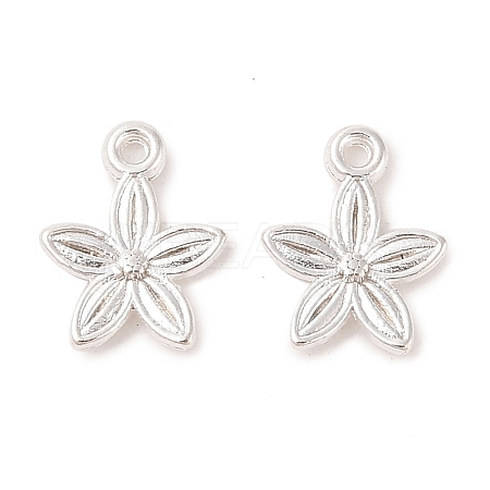Tibetan Style Alloy Pendants K093E021-1