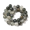 Natural Fuchsite Beads Strands G-K285-40D-1-3