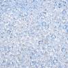Transparent Glass Seed Beads SEED-N014-01A-05-3
