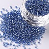 12/0 Glass Seed Beads SEED-A005-2mm-26-1