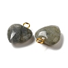 Natural Labradorite Pendants G-E603-01G-08-2