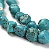 Natural Turquoise Beads Strands X-G-P497-01E-91-4