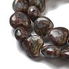 Natural Glaucophane Beads Strands G-R190-10mm-36-4