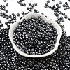 6/0 Glass Seed Beads SEED-L011-08A-10-2