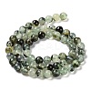 Natural Prehnite Beads Strands LS-G-P322-48-6mm-01-2