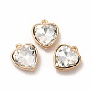 Faceted Glass Rhinestone Pendants GLAA-I051-B08-2