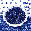 Oval Glass Seed Beads SEED-T009-02I-1