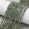 Natural Green Apatite Beads Strands G-L651-C08-4mm-1