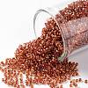 TOHO Round Seed Beads SEED-JPTR15-0951-1