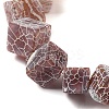 Natural Weathered Agate Beads Strands G-Q169-C04-02A-4