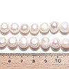 Natural Cultured Freshwater Pearl Beads Strands PEAR-N027-06B-5