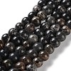 Dyed Natural Regalite/Imperial Jasper/Sea Sediment Jasper Beads Strands G-B124-C01-2
