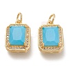 Brass Glass Charms ZIRC-F116-09D-G-1