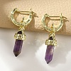 Natural Amethyst Hoop Earrings EJEW-P306-01G-10-1