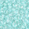 FGB Inside Colours Transparent Glass Seed Beads SEED-T009-01C-2