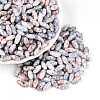 Baking Paint Glass Seed Beads SEED-N008-06A-1