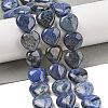Natural Dumortierite Beads Strands G-H005-C15-02-2