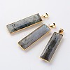 Faceted Rectangle Natural Labradorite Pendants G-M294-08-1