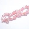 Natural Rose Quartz Beads Strands LS-G-O049-B-60-3