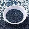 MIYUKI Delica Beads SEED-X0054-DB1005-2